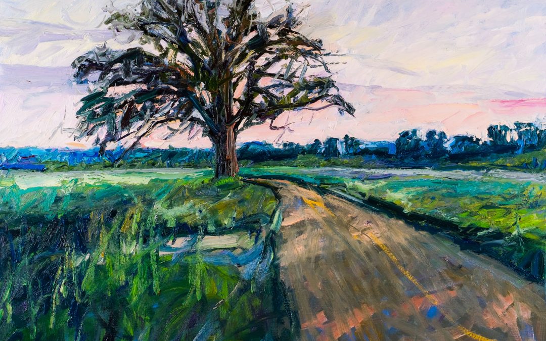McBaine Burr Oak, Sunset