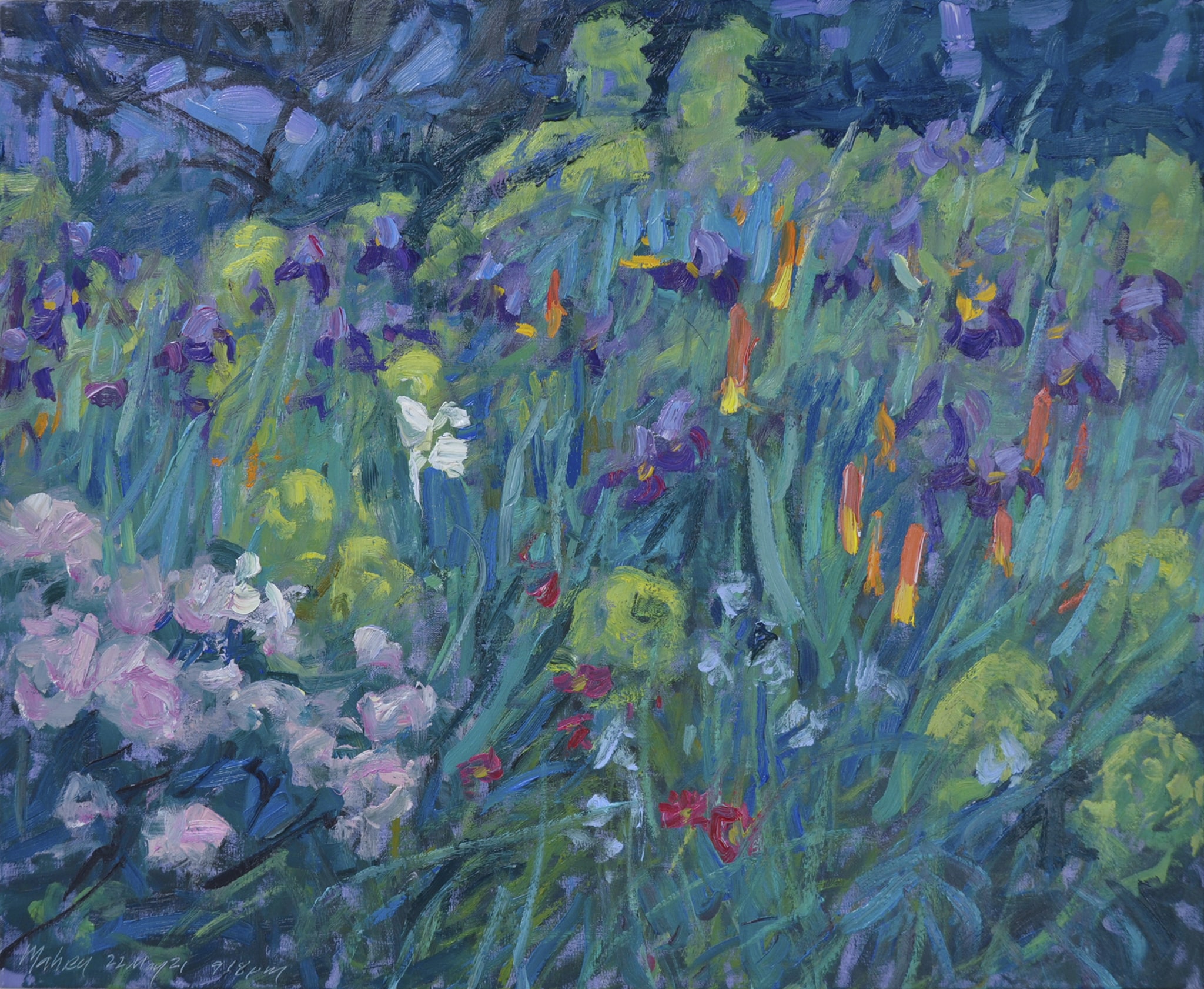 Twilight Garden—Iris and Torch LIlies