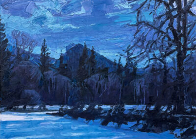 Moonlit Snow—Quinault Meadow